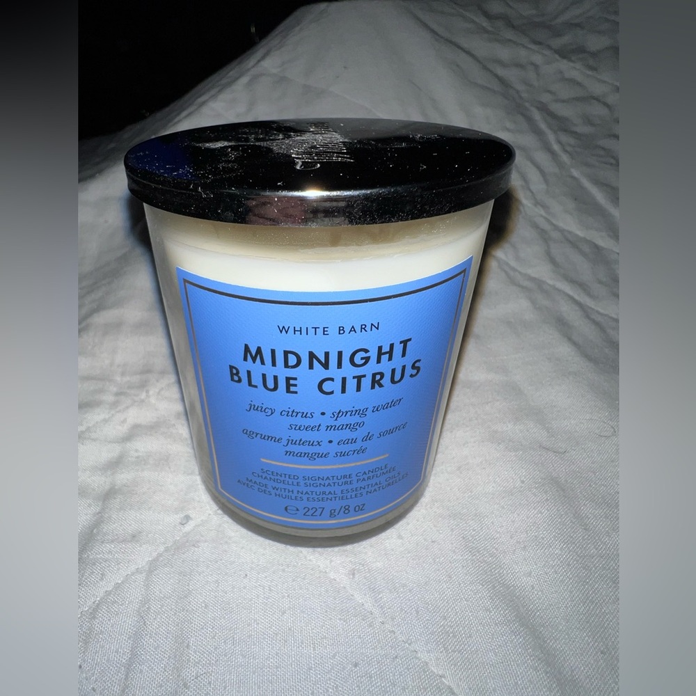 Bath & Body Works Midnight Blue Citrus Single Wick